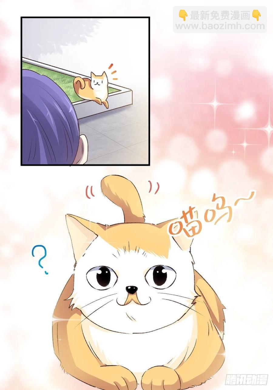 106 野猫杀手（1）-第117话