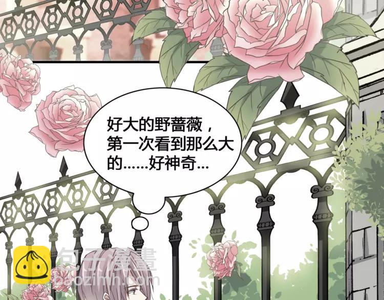 035 野蔷薇物语（上）(1/2)-第37话