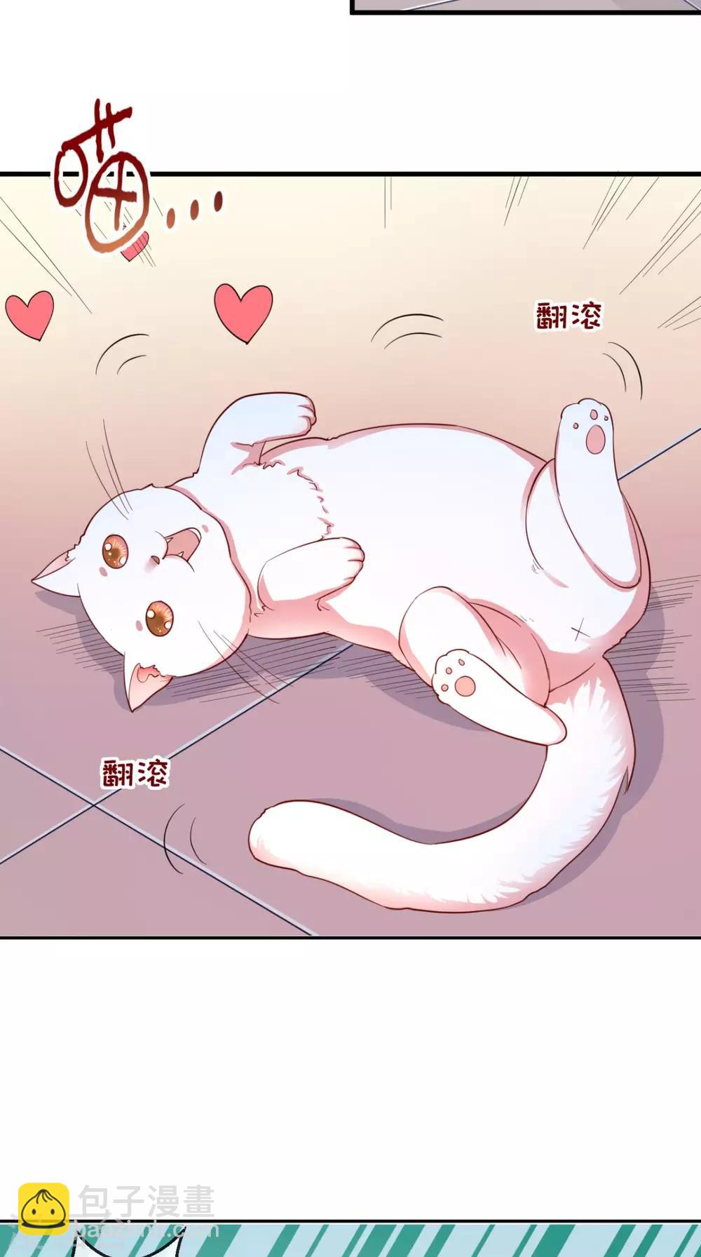 癡傻毒妃不好惹 - 第16話 身世之謎 - 3