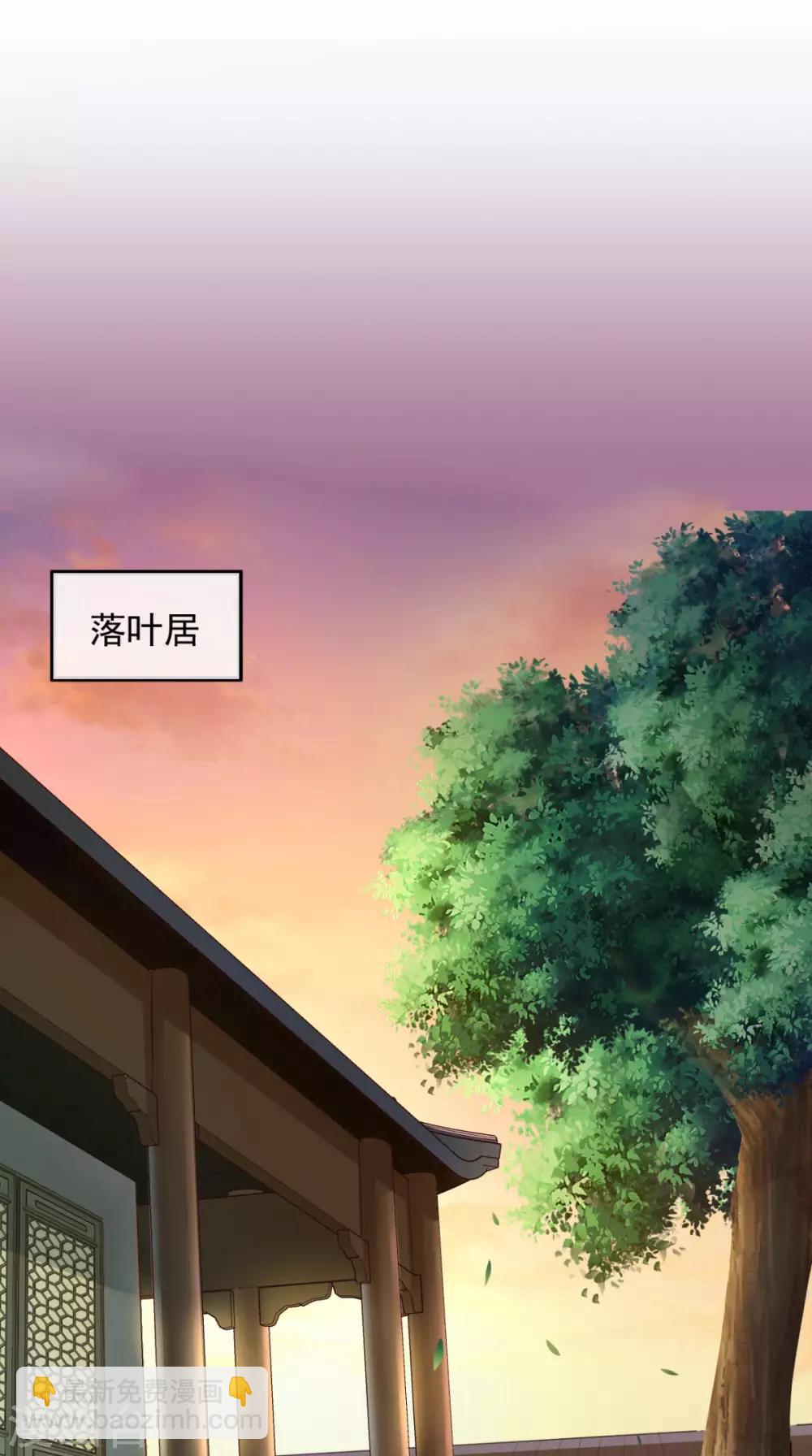 癡傻毒妃不好惹 - 第16話 身世之謎 - 2