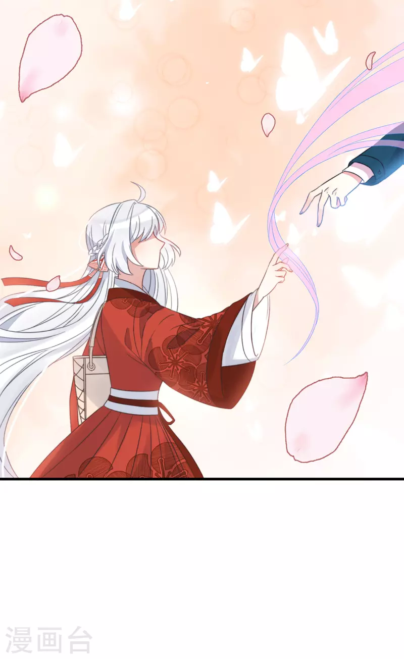 第11话 我才不是野孩子！-第13话