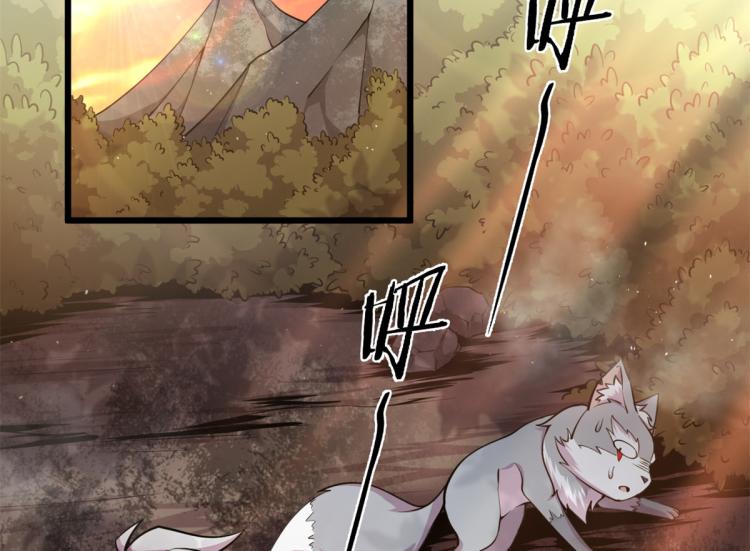 05 第一战，荆棘妖(1/3)-第5话