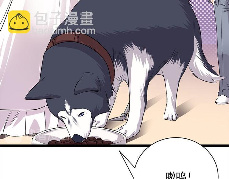 寵妻成癮：陸少的心尖寵 - 第14話：遇見你也是我的幸運(3/3) - 1