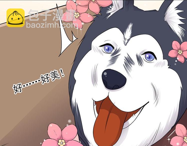 寵妻成癮：陸少的心尖寵 - 第14話：遇見你也是我的幸運(1/3) - 4