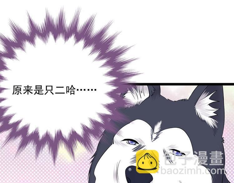 寵妻成癮：陸少的心尖寵 - 第14話：遇見你也是我的幸運(1/3) - 3