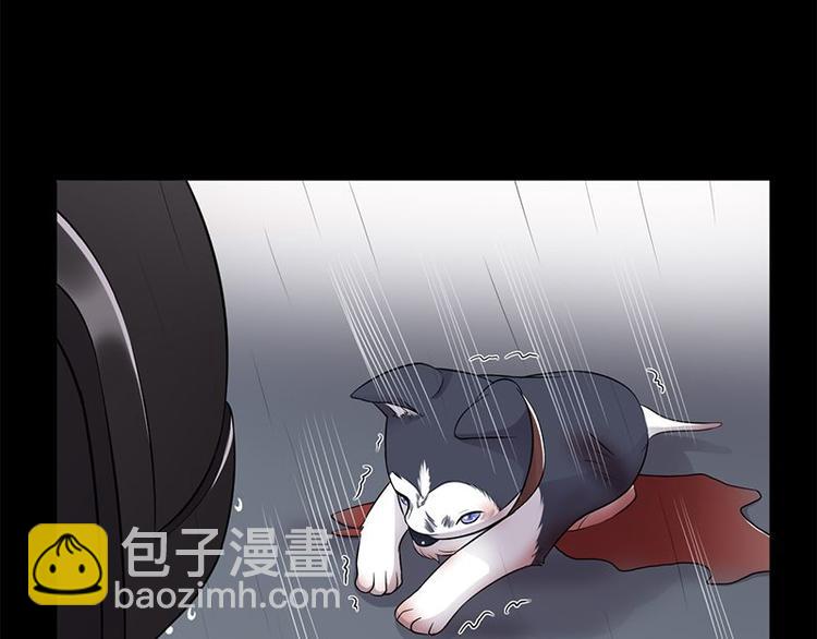 寵妻成癮：陸少的心尖寵 - 第14話：遇見你也是我的幸運(2/3) - 4