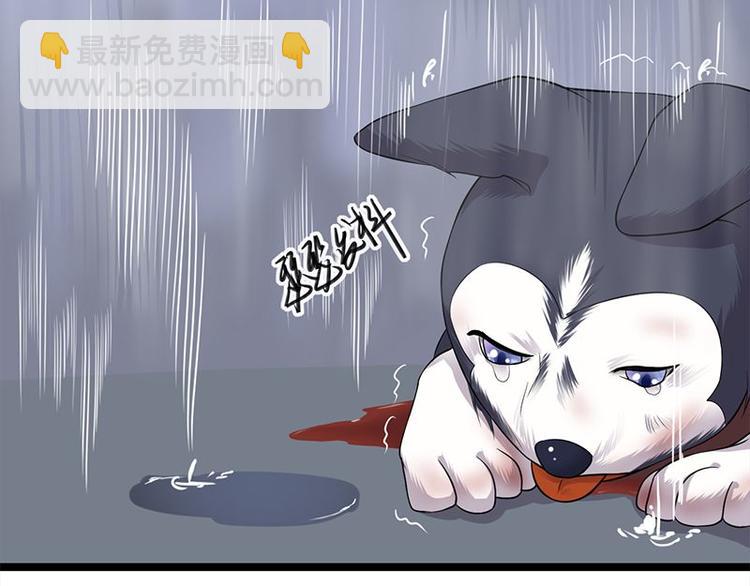 寵妻成癮：陸少的心尖寵 - 第14話：遇見你也是我的幸運(2/3) - 7