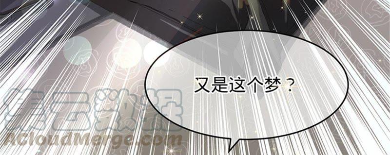 寵妻狂魔：百萬千金要淪陷 - 第1話 夢中的女孩(2/2) - 5