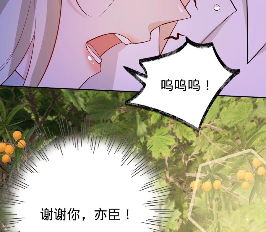 寵妻狂魔：百萬千金要淪陷 - 第223話 這裡就是你的孃家(1/2) - 3