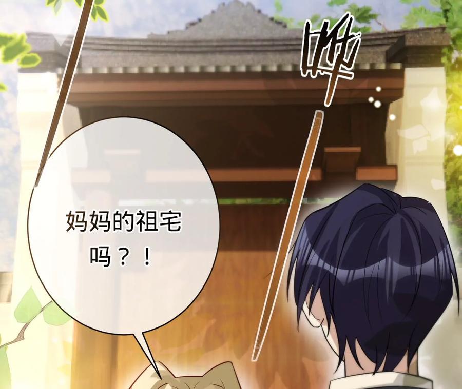 寵妻狂魔：百萬千金要淪陷 - 第223話 這裡就是你的孃家(1/2) - 5