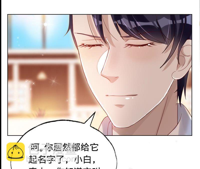 寵妻狂魔：百萬千金要淪陷 - 第41話 它叫小白？ - 3