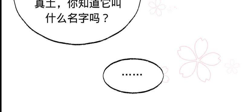 寵妻狂魔：百萬千金要淪陷 - 第41話 它叫小白？ - 4