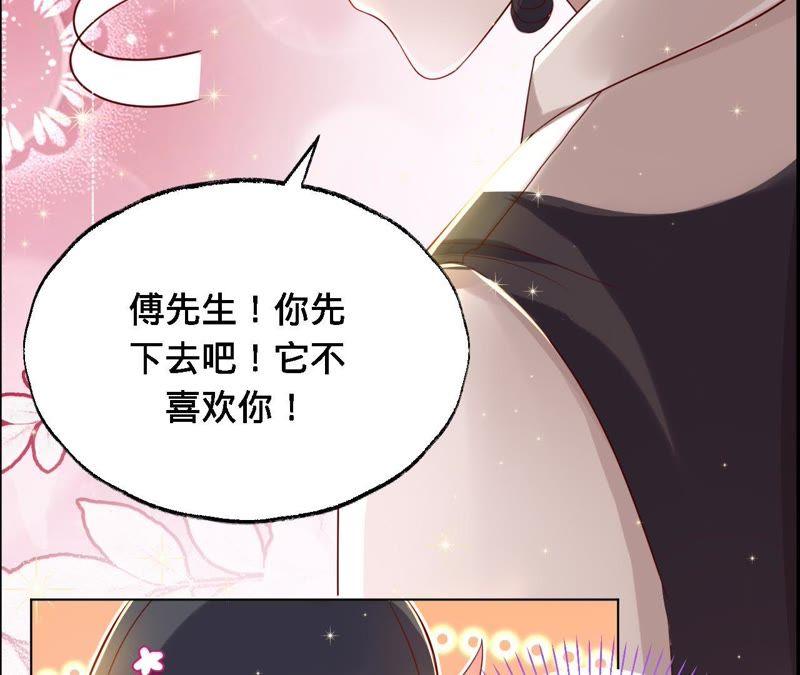 寵妻狂魔：百萬千金要淪陷 - 第41話 它叫小白？ - 2