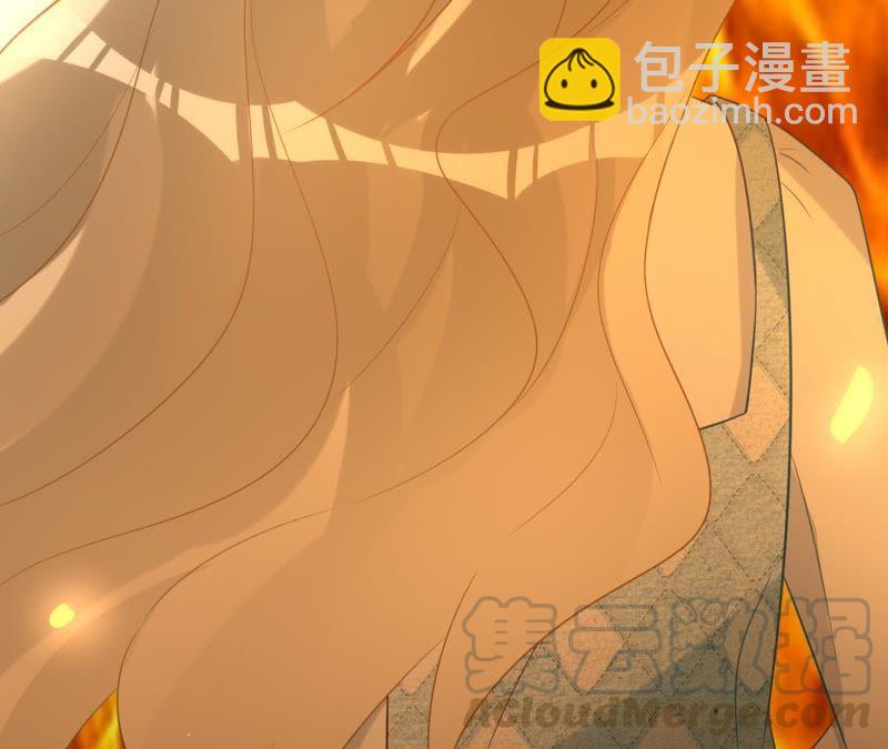 寵妻狂魔：百萬千金要淪陷 - 第87話 讓我來當一次英雄吧(2/2) - 4