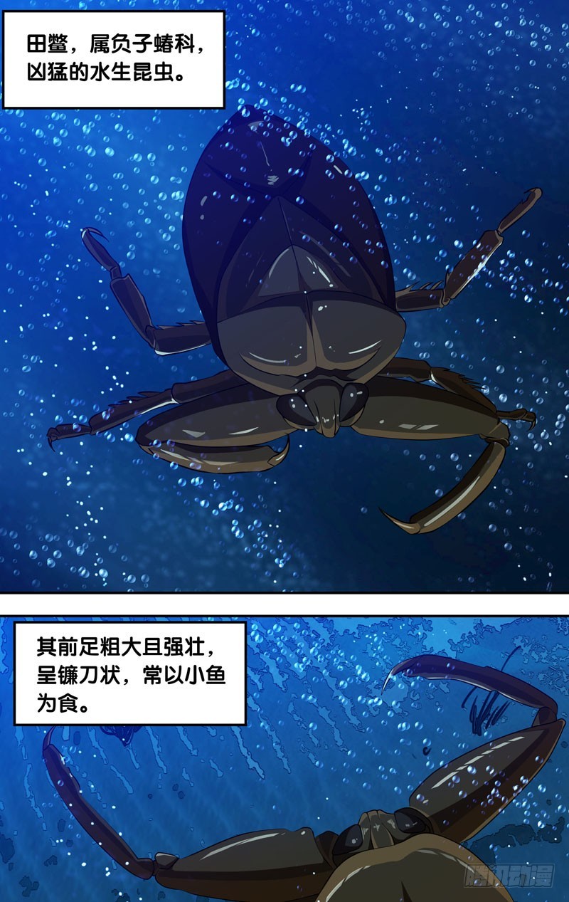 29.田鳖-第29话