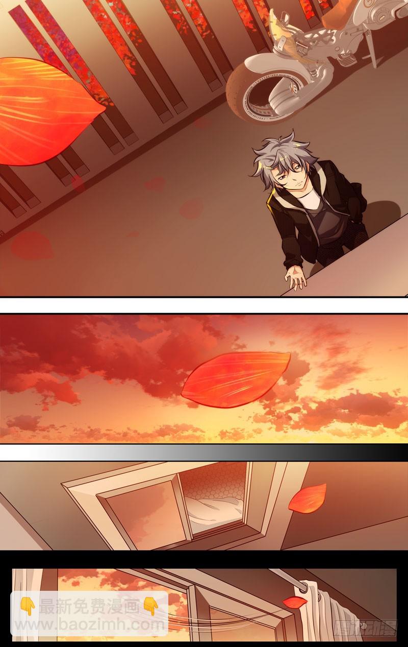 66.一片花瓣-第67话