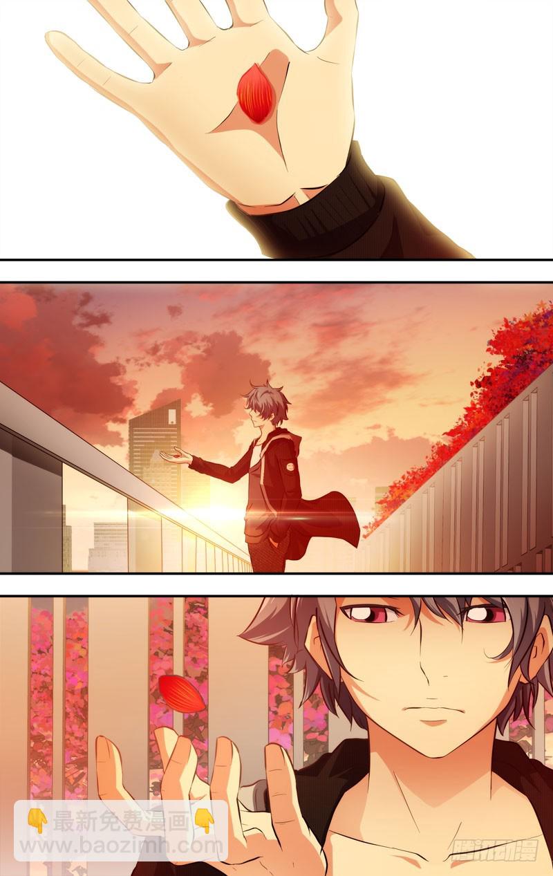 66.一片花瓣-第67话