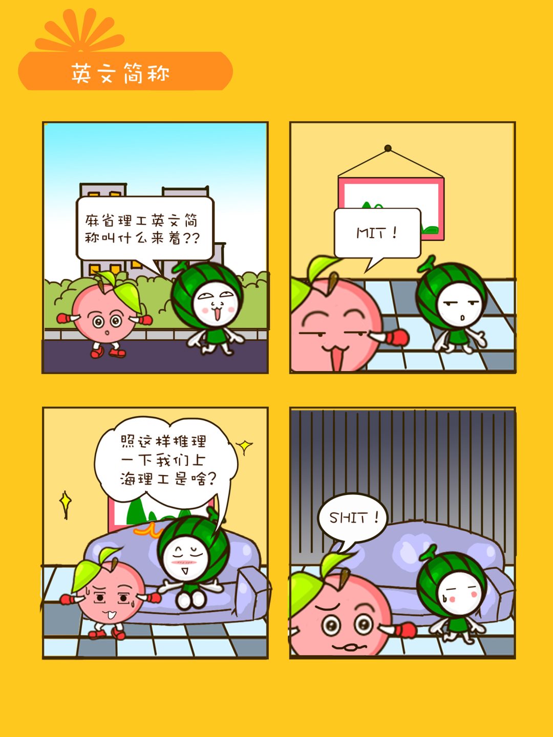 宠物对对碰 第21集-第21话