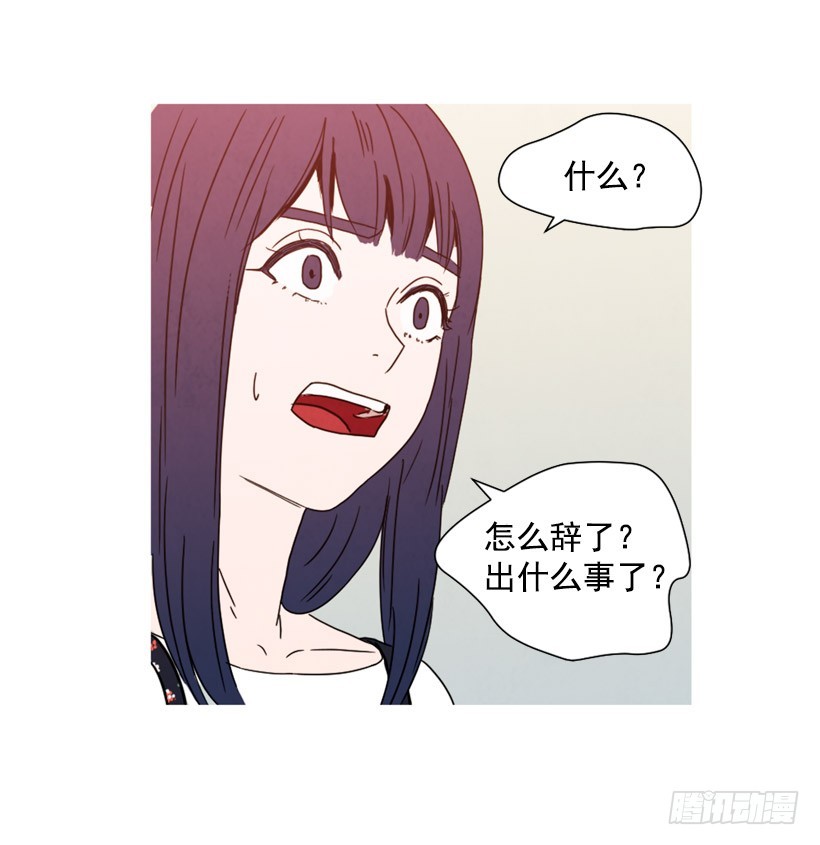寵物狗的規則 - 重新生活(1/2) - 4