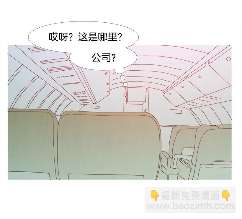 寵物狗的規則 - 謝謝你 - 3