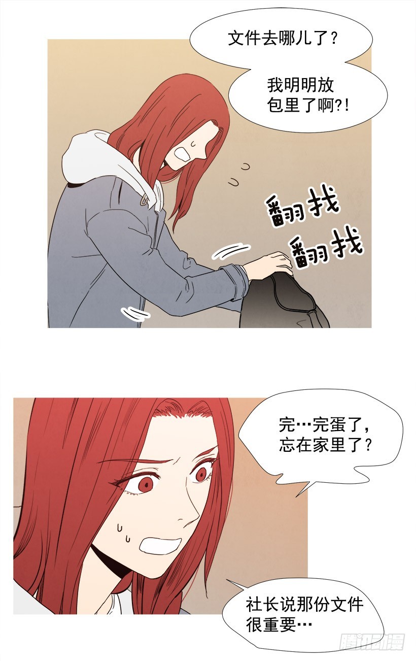 寵物狗的規則 - 文件丟失 - 3