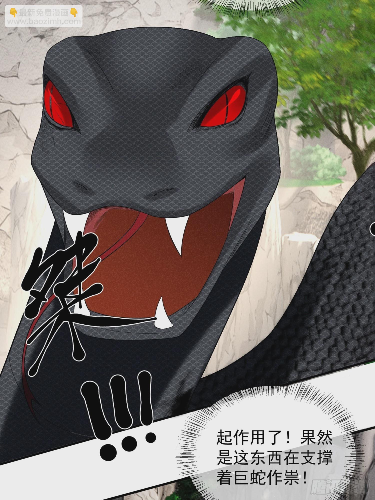 穿成孤女後我偏要浪 - 13話 衆蛇臣服 - 5