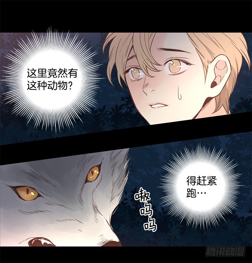 温暖的光-第45话