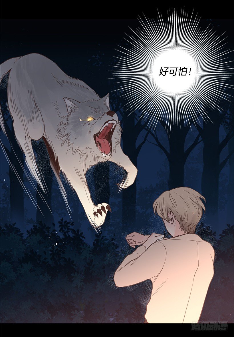 温暖的光-第45话