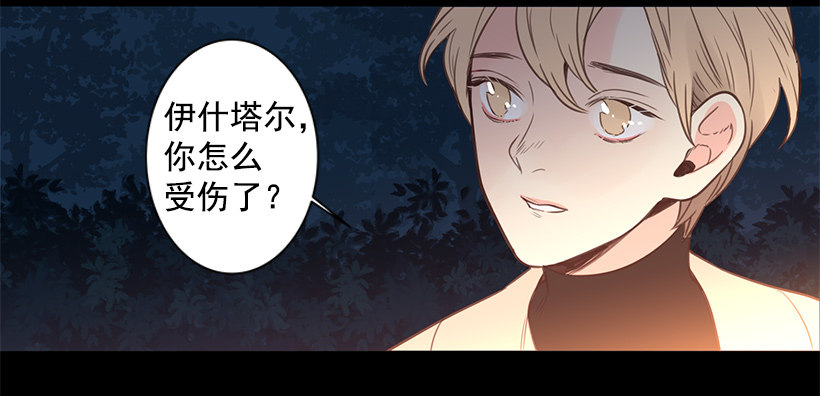 温暖的光-第45话