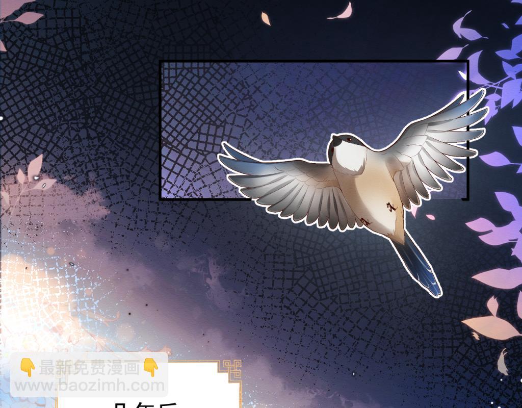 第16话 崽崽长大了(1/3)-第17话