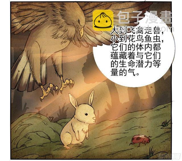 傳武 - 第三十九條：內視 - 6