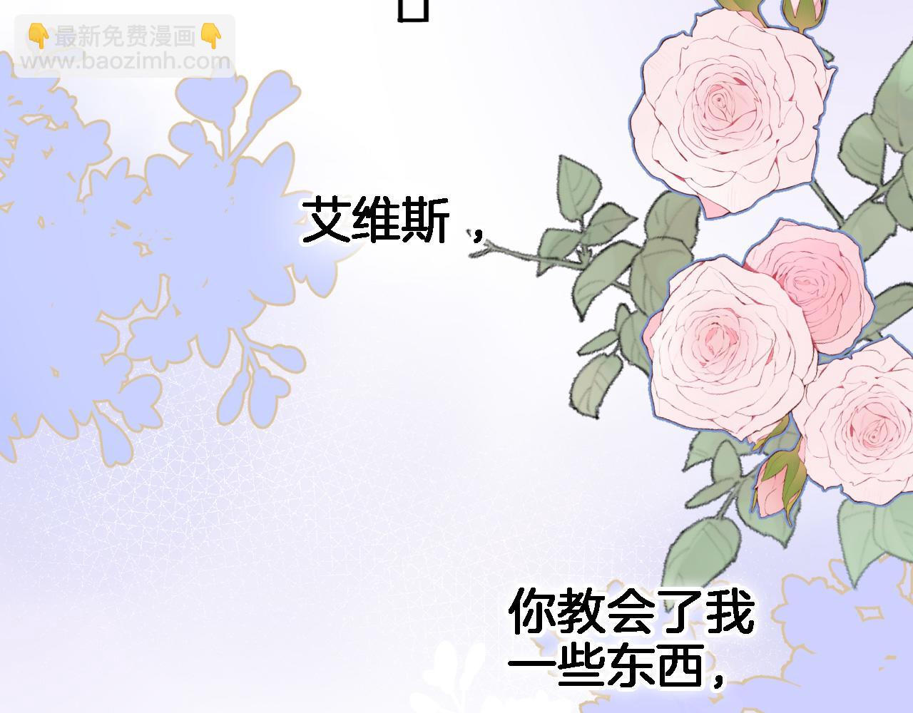 第六十九话 我的小鸟(1/2)-第71话