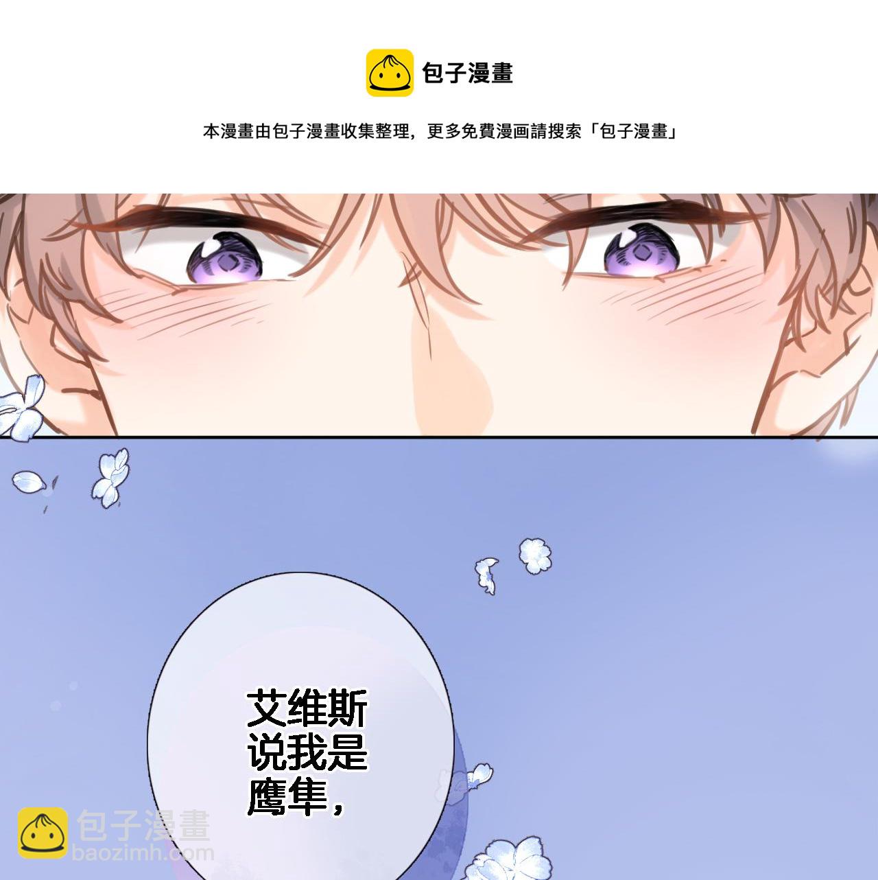 第六十九话 我的小鸟(1/2)-第71话