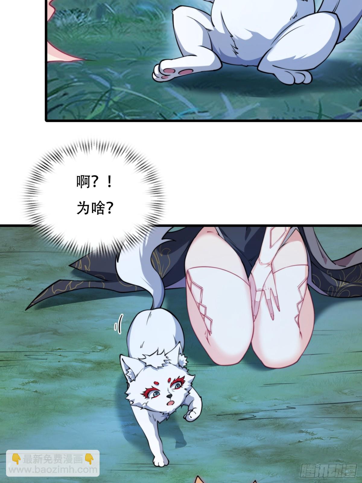 第四十话(1/2)-第41话