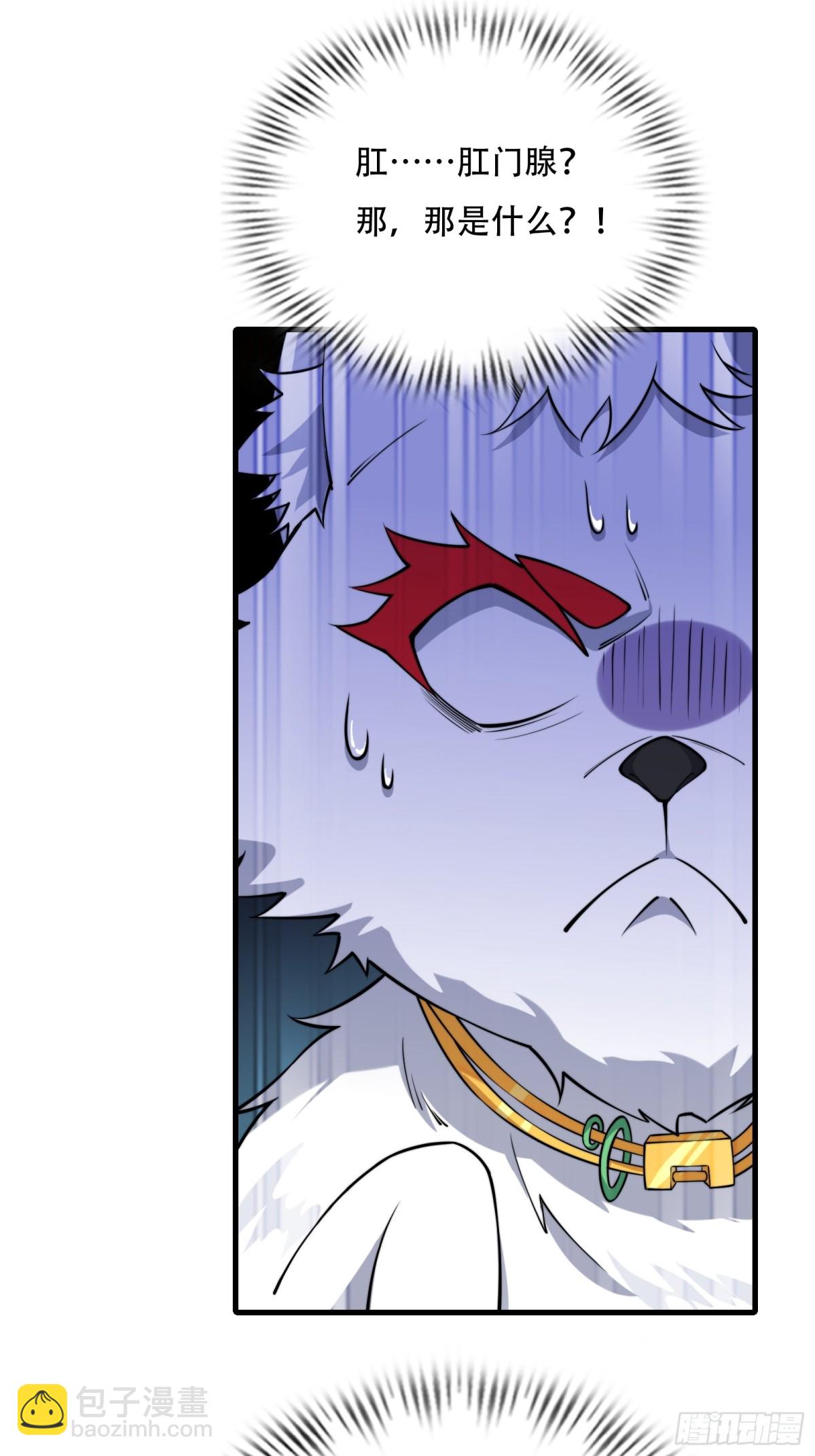 第四十话(1/2)-第41话