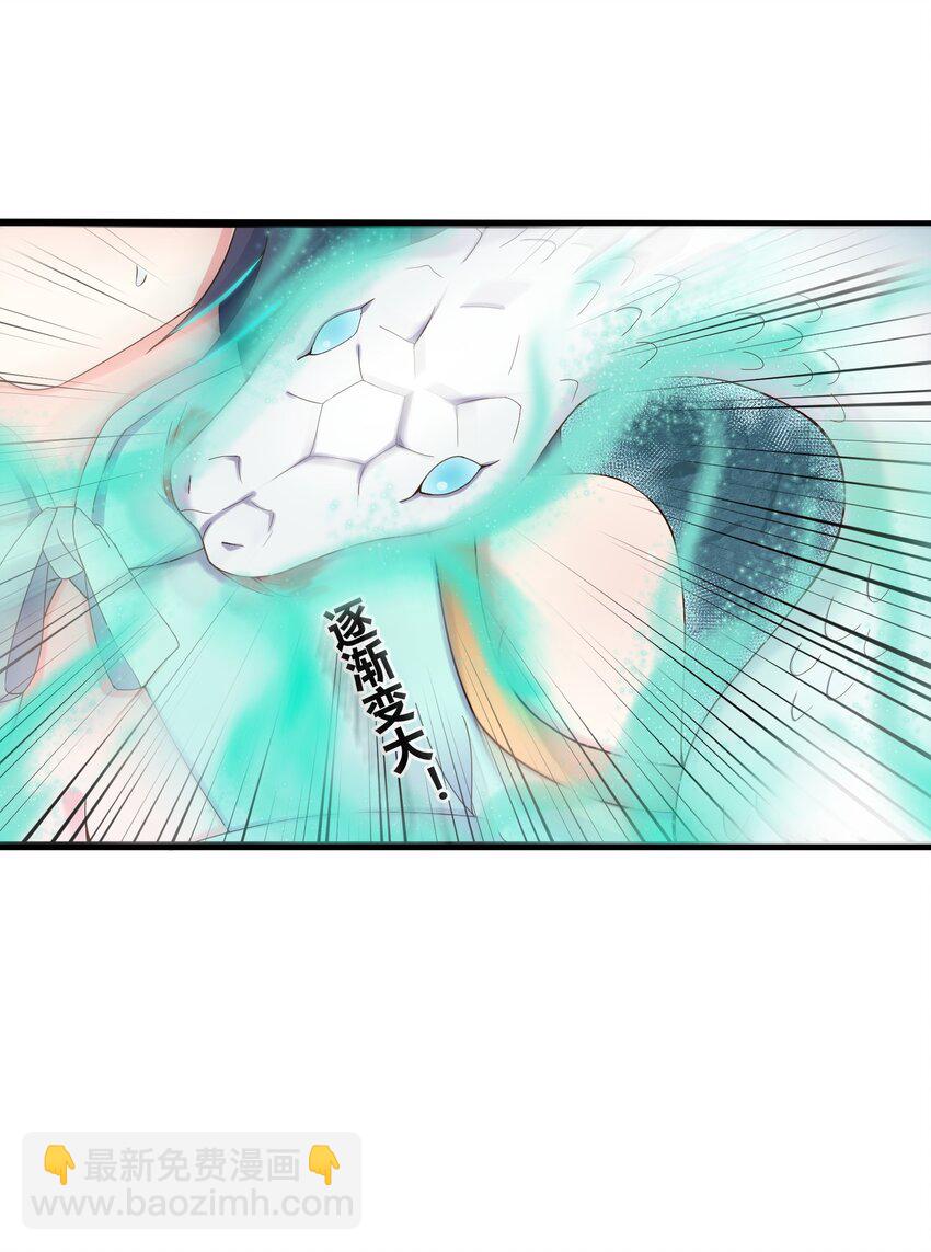 163 晓晴结丹-第163话