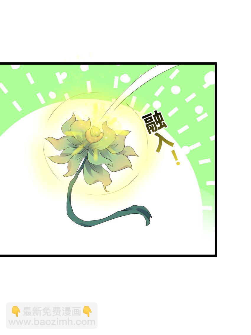 167 莲雅柔-第167话