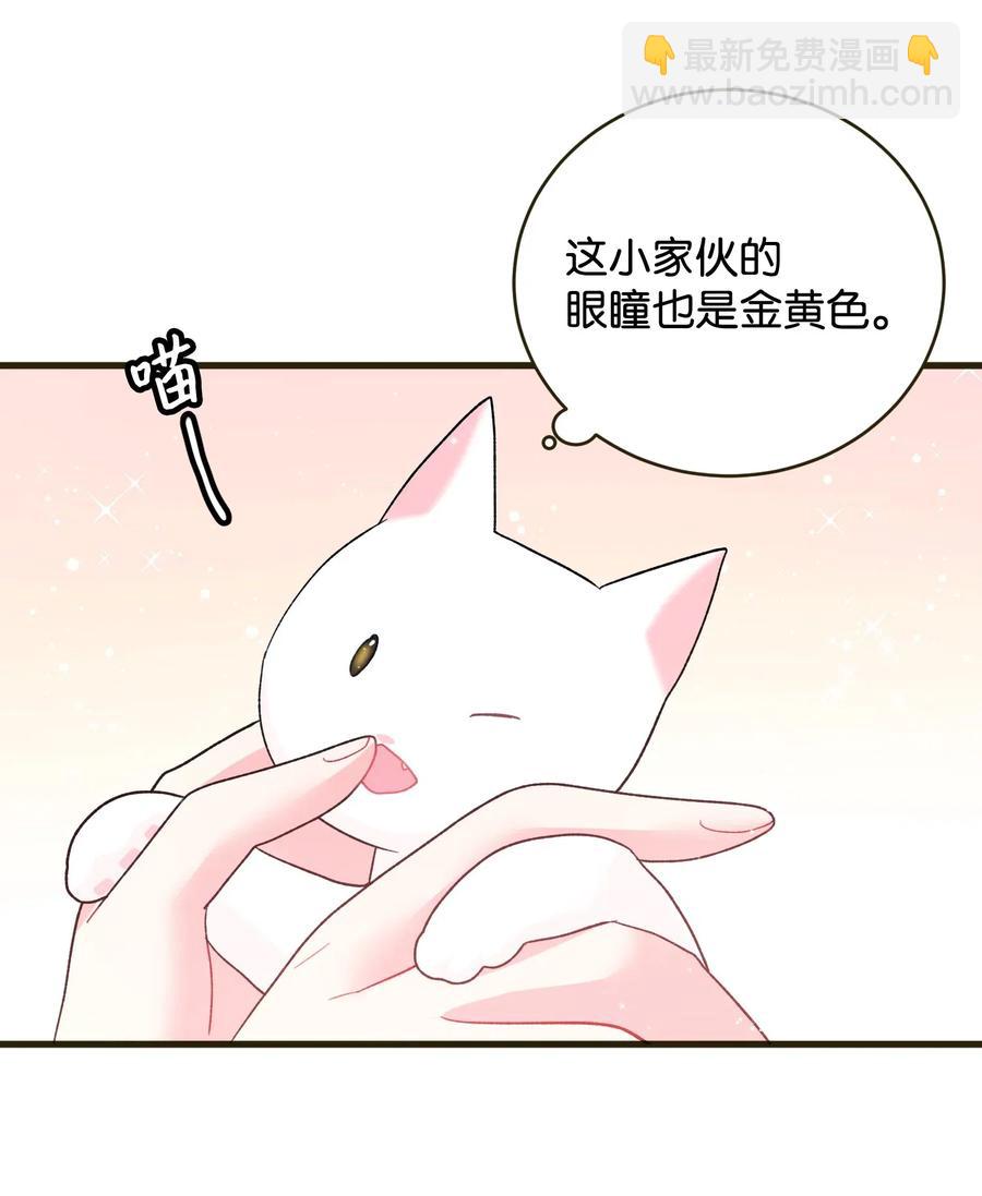 17 有话要说(1/2)-第17话