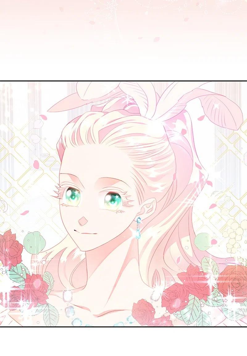 39 惹人瞩目的礼服(1/2)-第39话