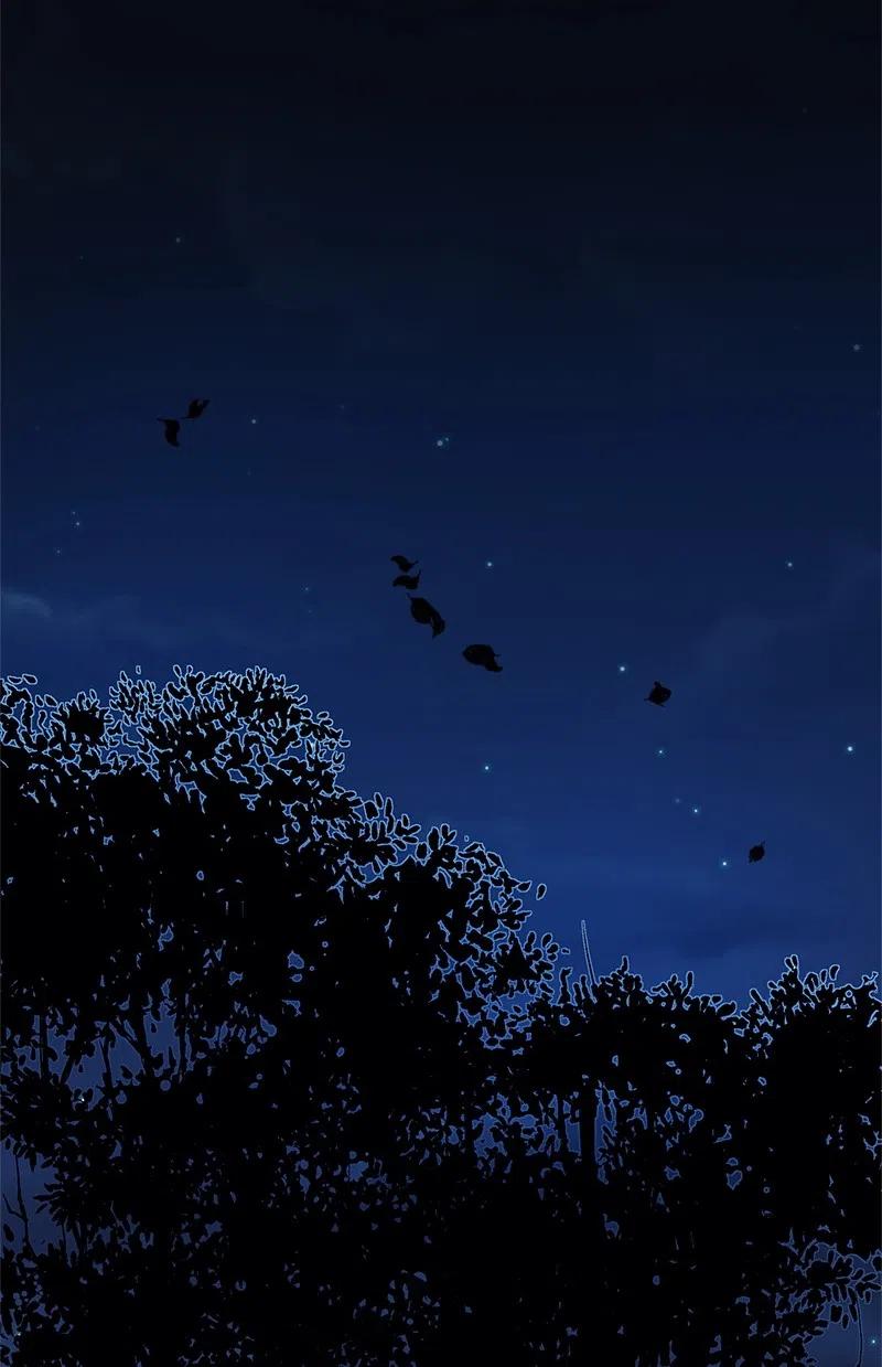 47 公爵小姐被盯上了(1/2)-第47话