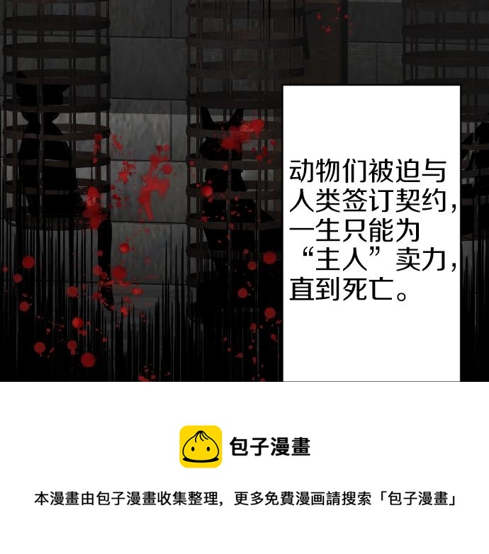 第20话 主人？！(1/3)-第21话