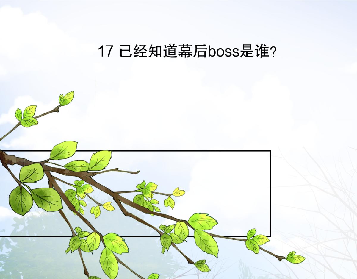 17 已经知道幕后boss是谁-第17话