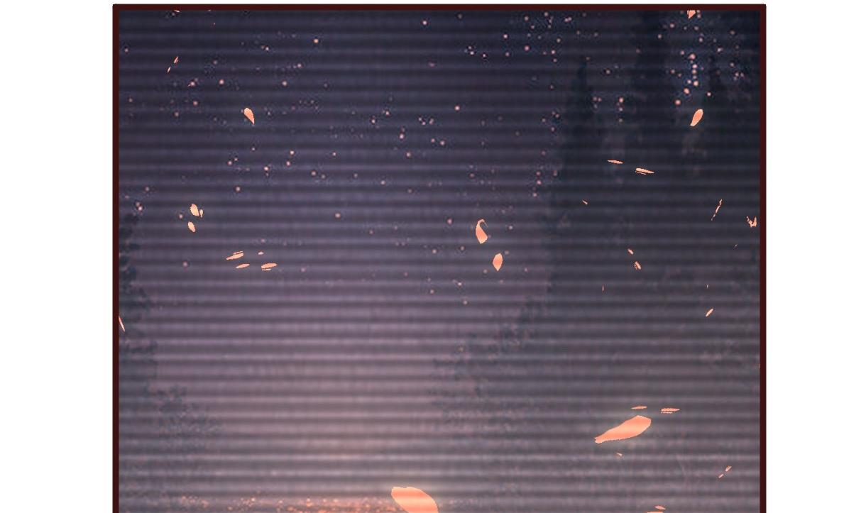 第54话 不同的卡片-第55话