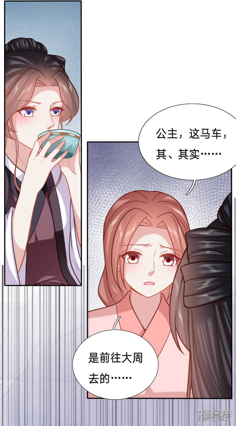 穿越之太子妃威武 - 婢女也反水 - 3
