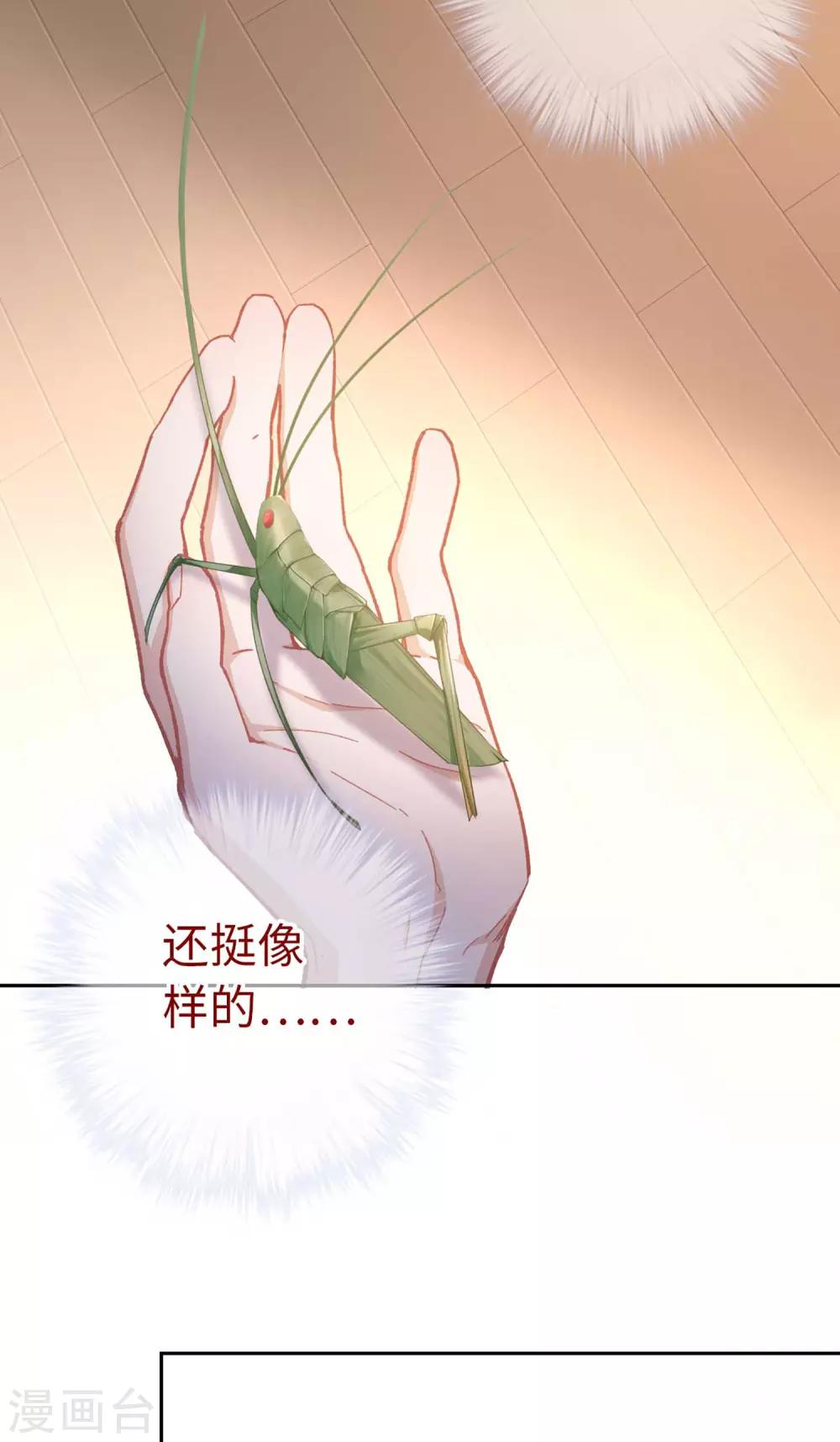 第56话 芙蓉酥-第59话