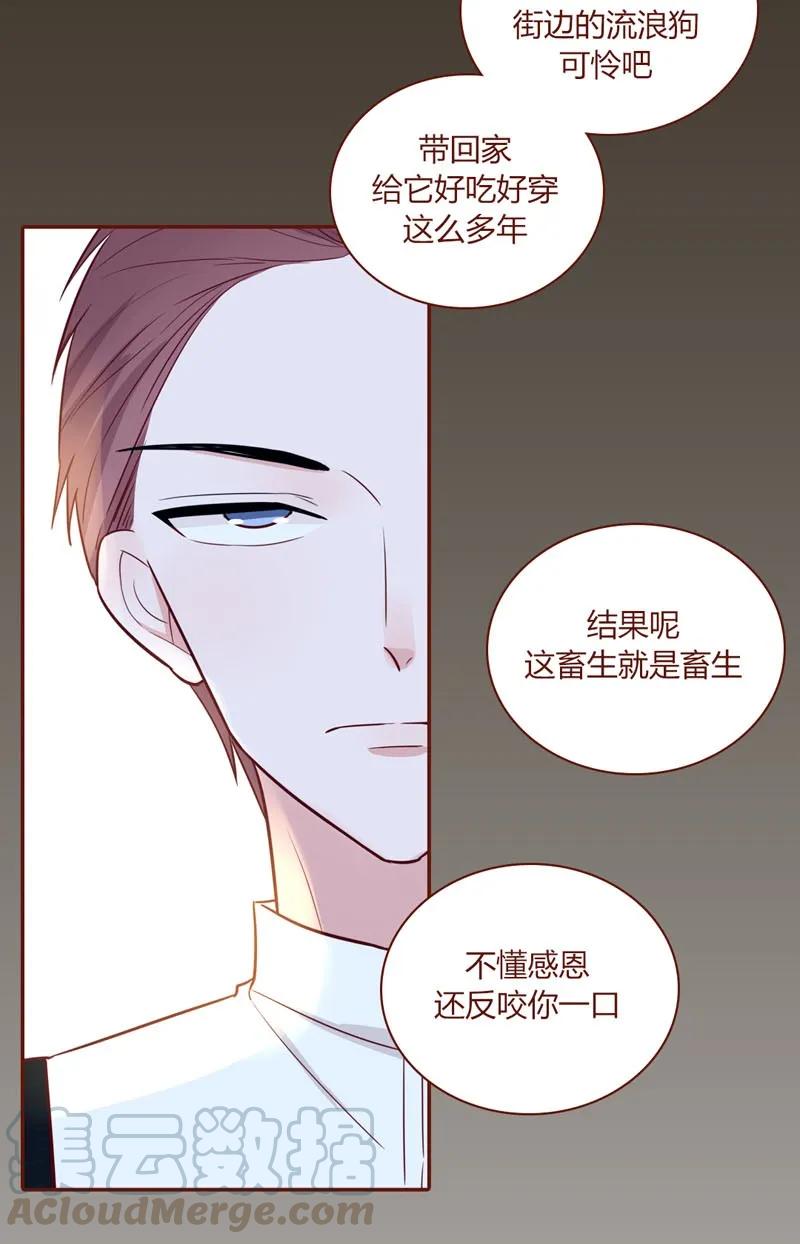 24 不许说他-第25话