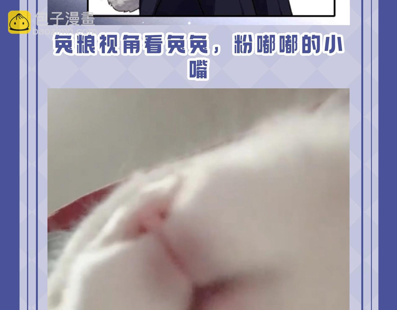 垂耳執事 - 第53期 搞點事：陸上錦！放下那個小兔子讓我來！ - 3