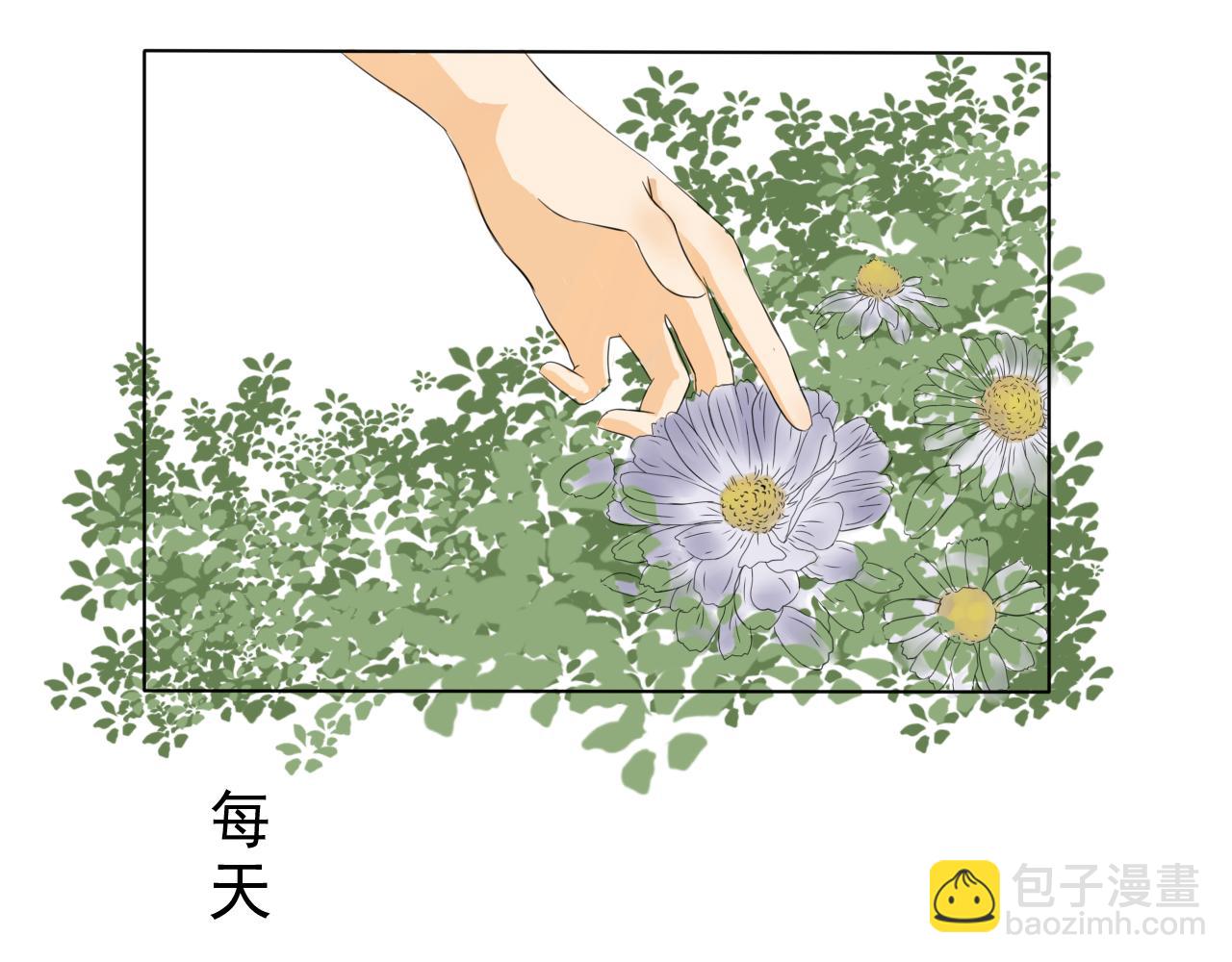 送你一朵小雏菊15