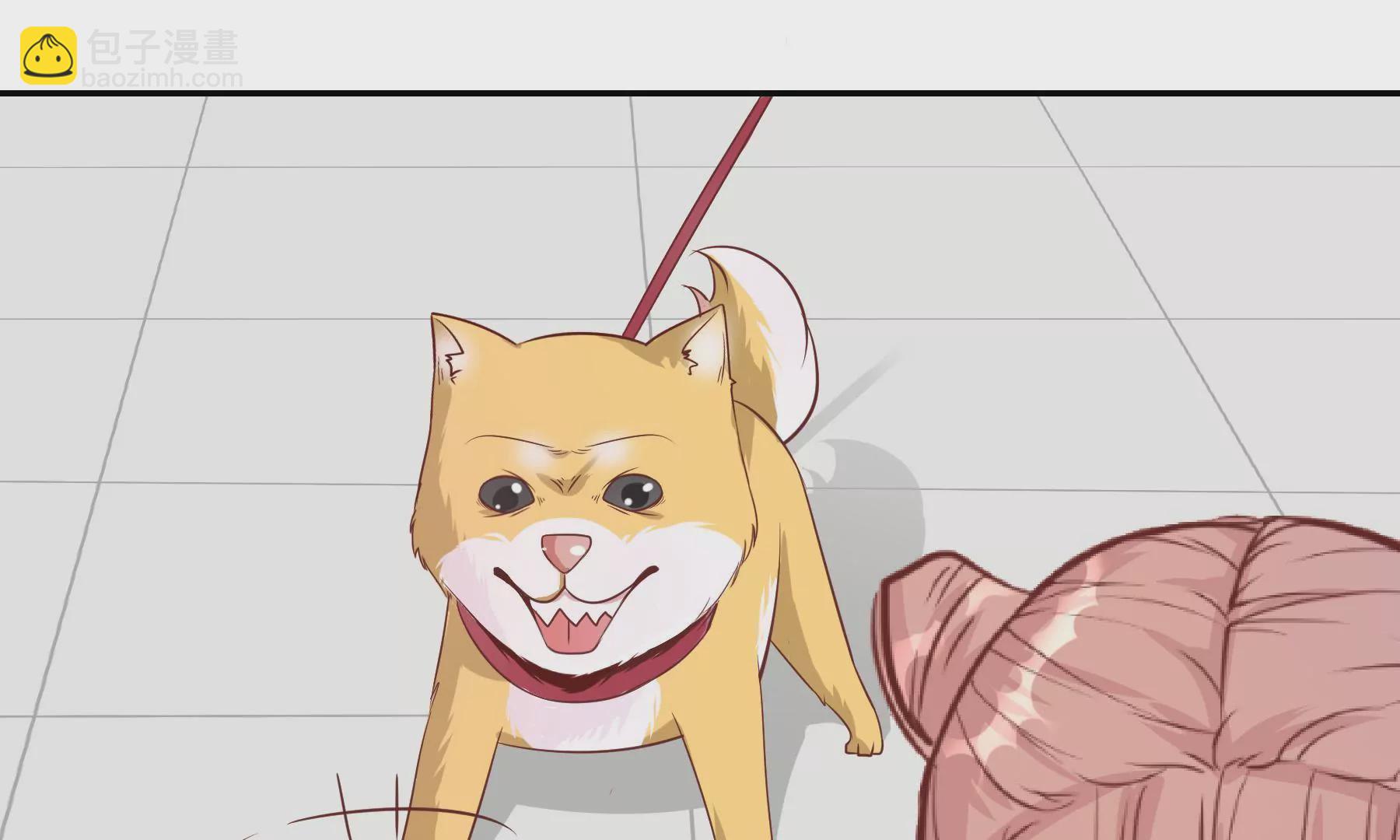 第5话 成为落跑大厨(1/2)-第7话