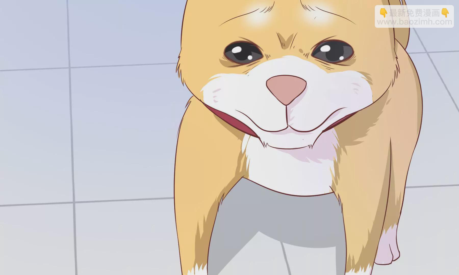 第5话 成为落跑大厨(1/2)-第7话